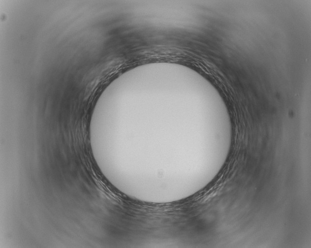 X0000088470820200706121527