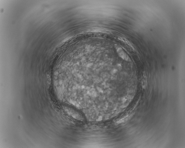 X0000088470821200706121527