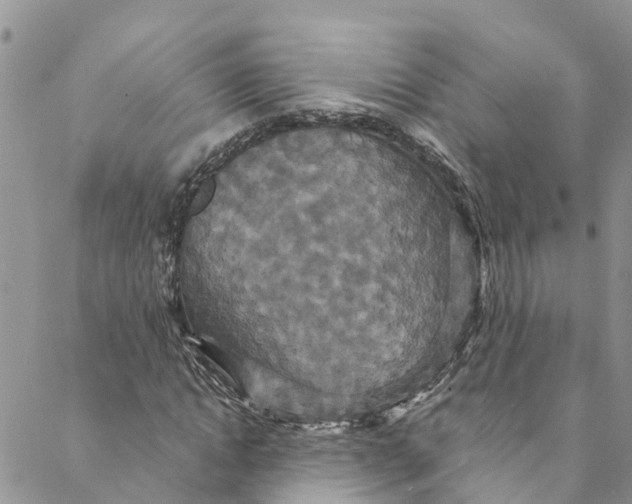 X0000088470822200706121527