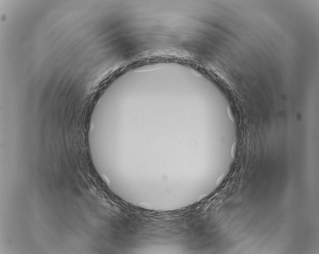 X0000088470824200706121527