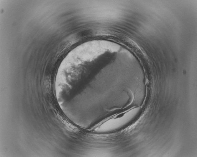 X0000088470825200706121527