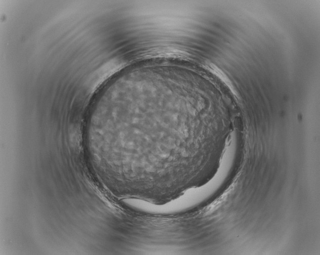 X0000088470826200706121527