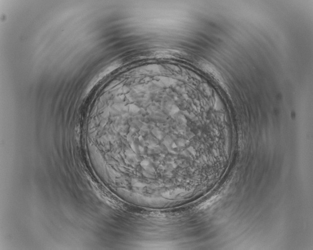 X0000088470827200706121527