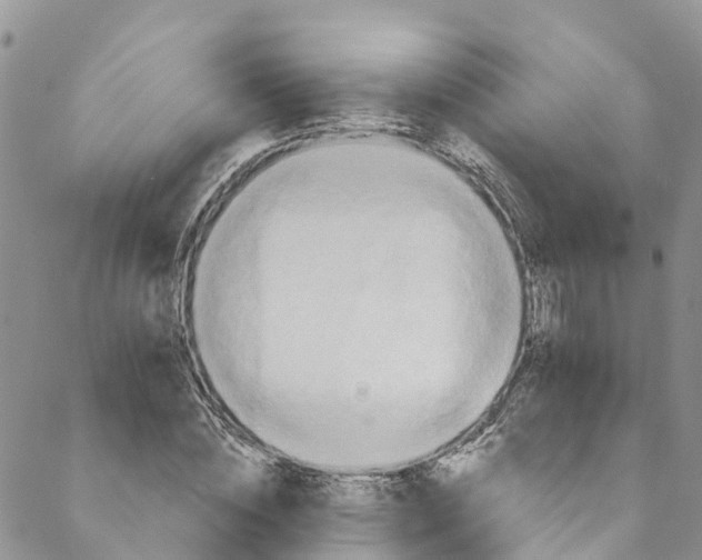 X0000088470828200706121527