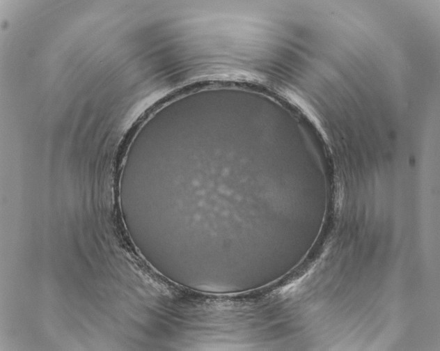 X0000088470829200706121527