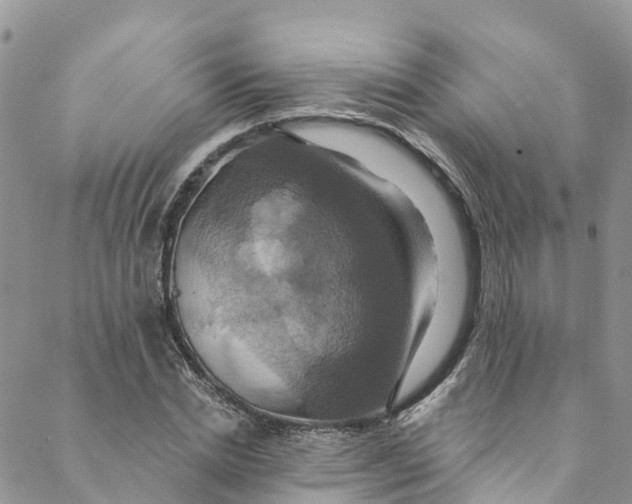 X0000088470830200706121527