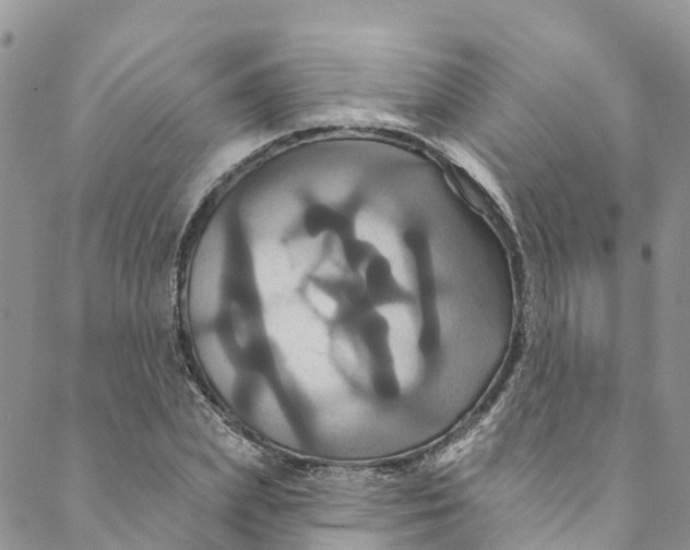 X0000088470831200706121527