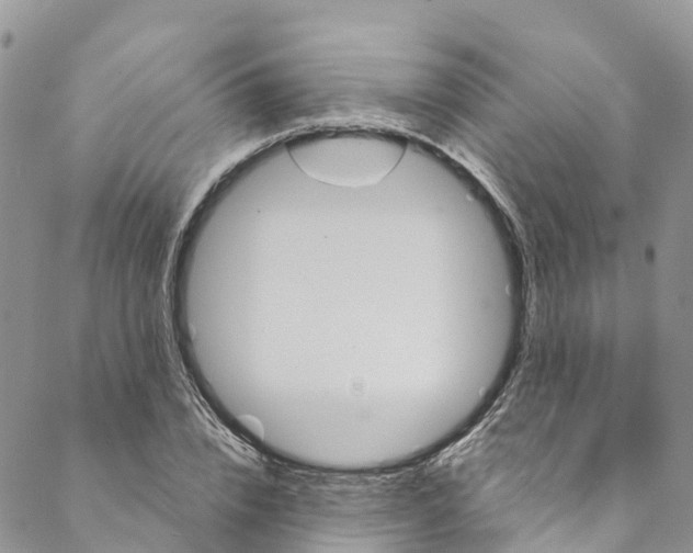 X0000088470832200706121527