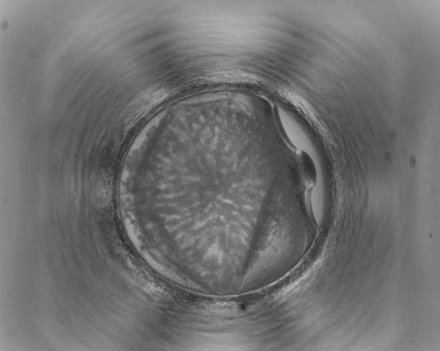 X0000088470833200706121527