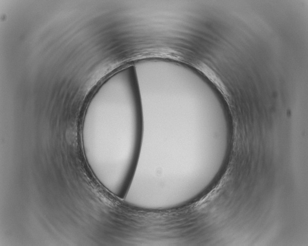 X0000088470834200706121527