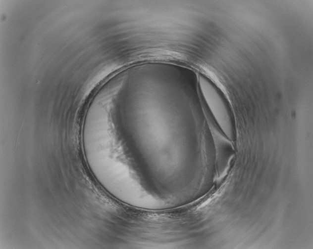 X0000088470835200706121527