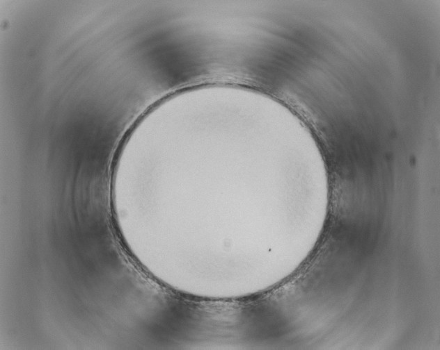 X0000088470836200706121527