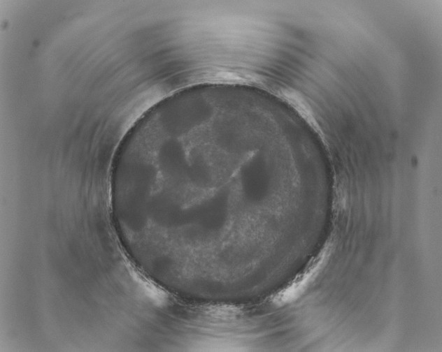 X0000088470837200706121527