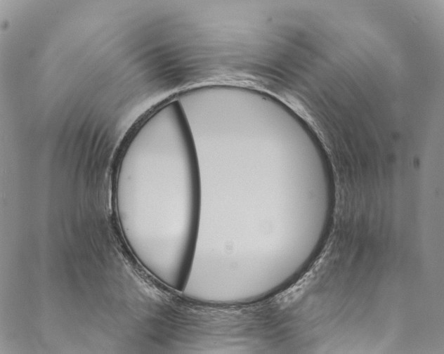 X0000088470838200706121527