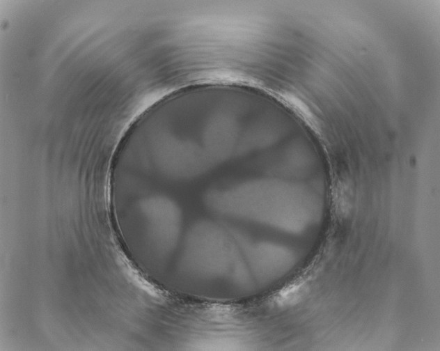 X0000088470839200706121527