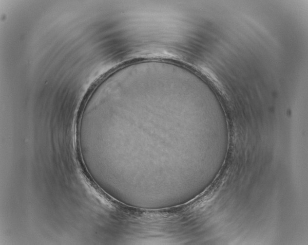 X0000088470840200706121527