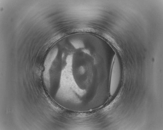 X0000088470841200706121527