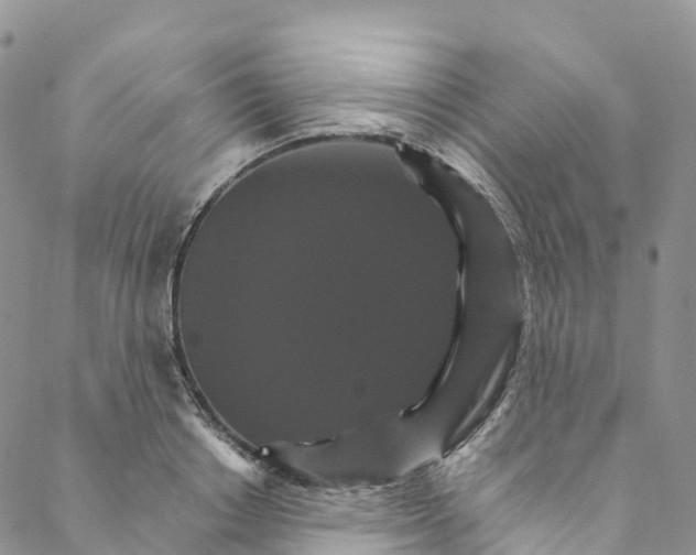 X0000088470842200706121527