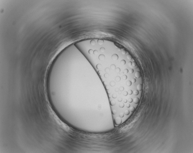 X0000088470843200706121527