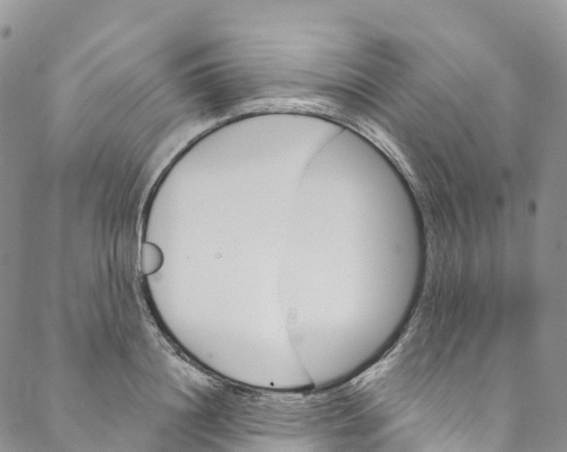 X0000088470844200706121527