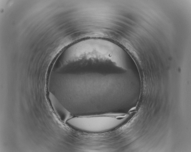 X0000088470845200706121527