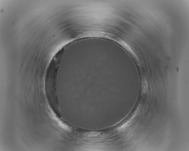 X0000088470846200706121527