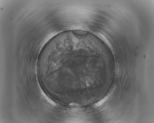 X0000088470847200706121527