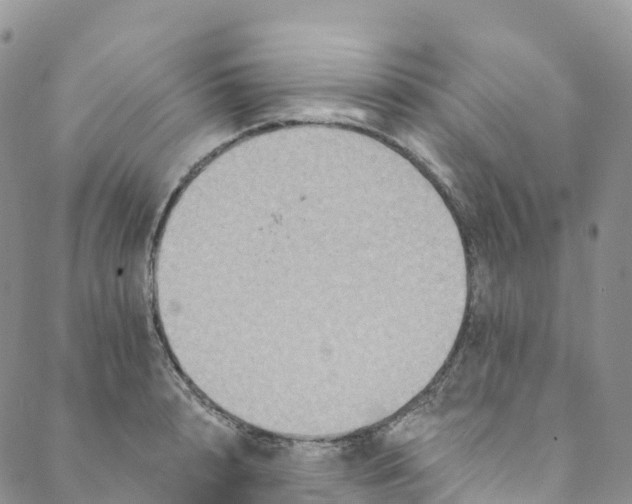 X0000088470848200706121527