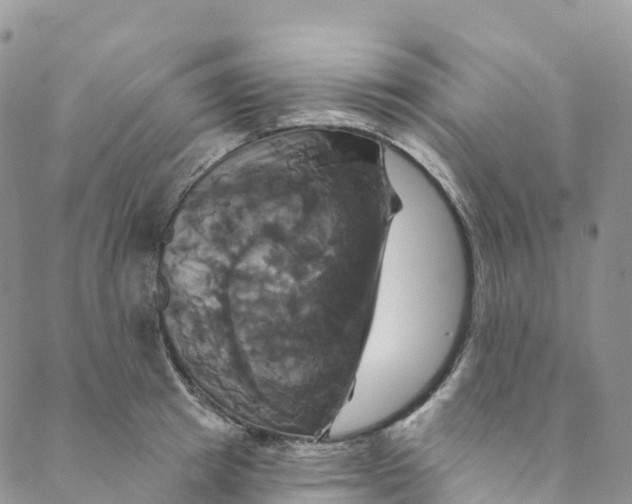 X0000088470849200706121527