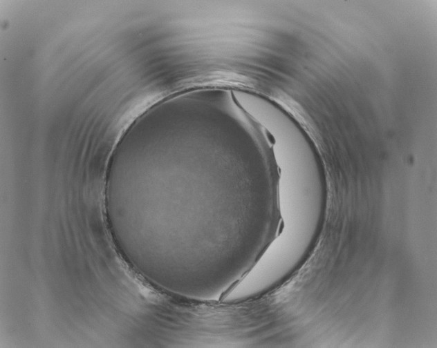 X0000088470850200706121527