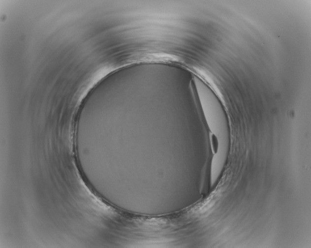 X0000088470851200706121527