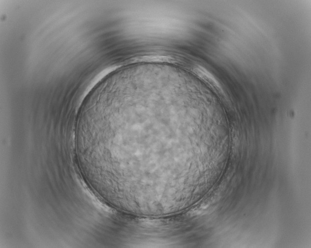 X0000088470852200706121527