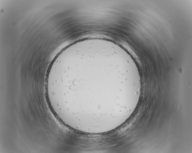 X0000088470853200706121527