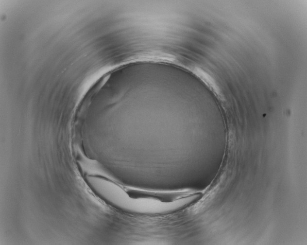 X0000088470854200706121527