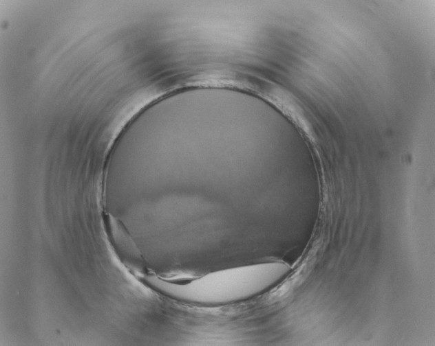 X0000088470855200706121527