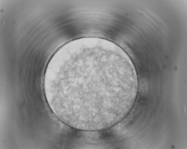 X0000088470856200706121527