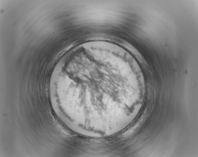 X0000088470857200706121527