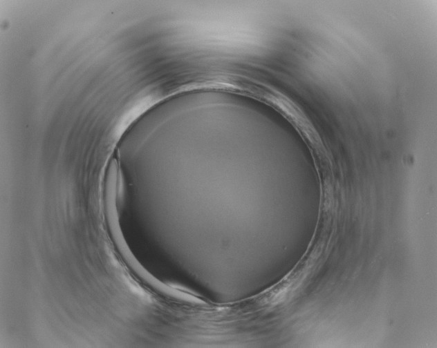 X0000088470858200706121527