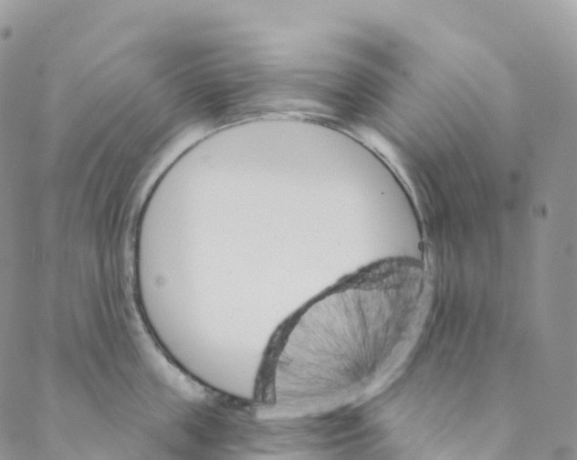 X0000088470859200706121527