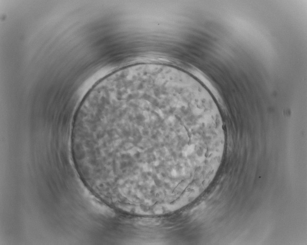 X0000088470861200706121527