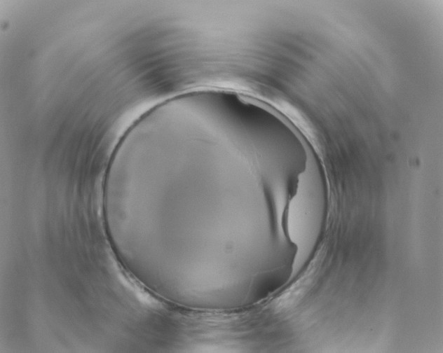 X0000088470862200706121528