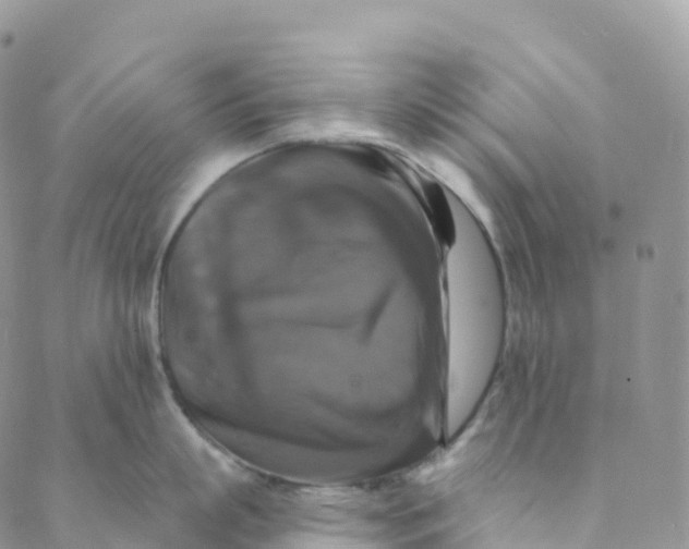 X0000088470863200706121528