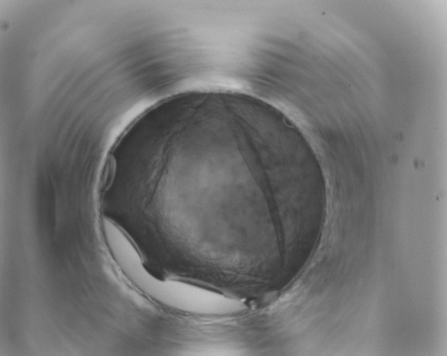 X0000088470864200706121528