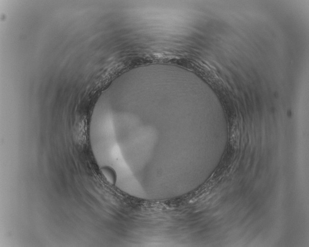 X0000088470866200706121527