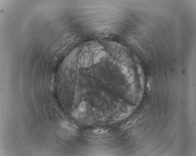 X0000088470867200706121527