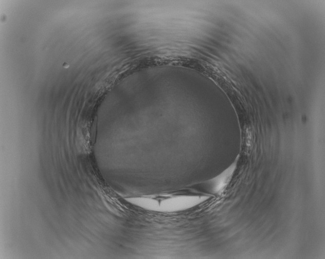 X0000088470868200706121527