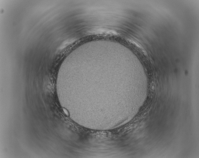 X0000088470869200706121527