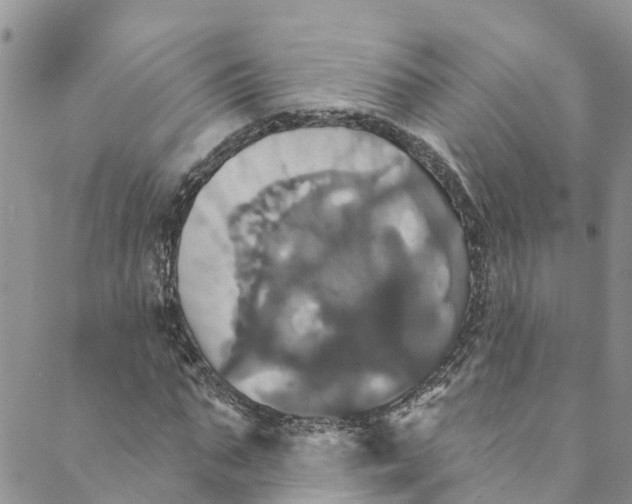 X0000088470871200706121527