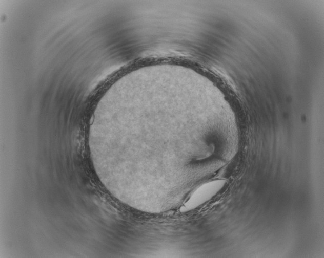 X0000088470872200706121527