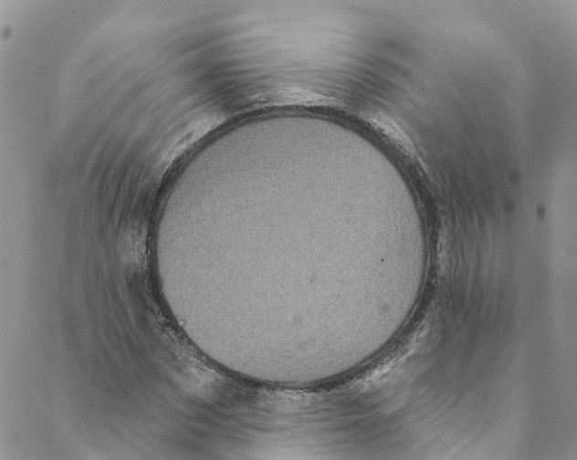 X0000088470873200706121527